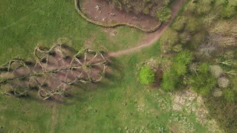 4k-Weidenkathedrale-Live-Skulptur-Aus-Weidenbäumen-In-Taunton-Somerset,-60fps-Drohne-Rotiert-Nach-Links-über-Der-Baumkathedrale