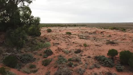 Outdoor-nature-drone-aerial-sand-hills-move-forward-desert-australia-bush-outback