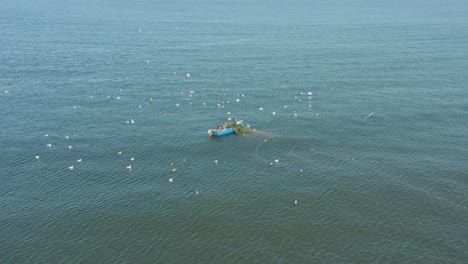 AERIAL:-Flock-of-Gulls-Surrounds-Fishermans-in-Blue-Colour-Boat-Casting-Nets-in-the-Baltic-Sea