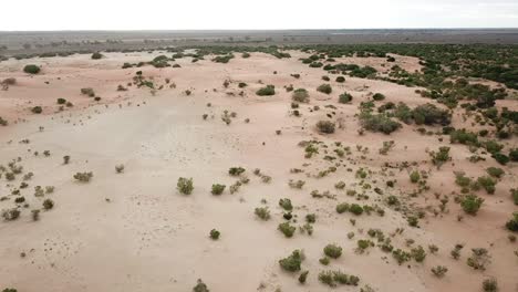 Antena-De-Drones-De-Naturaleza-Al-Aire-Libre-Que-Va-Hacia-Adelante-Y-Hacia-Abajo-Sobre-El-Desierto-Australiano-Outback
