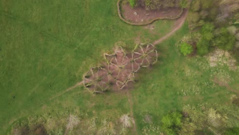4k-Willow-Cathedral-Live-Skulptur-Aus-Weidenbäumen-In-Taunton-Somerset,-60fps-Drohne,-Die-Sich-über-Die-Baumkathedrale-Bewegt