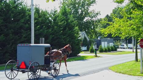 Un-Caballo-Amish-Y-Un-Buggy-Trotando-En-Un-Camino-Rural-En-Un-Día-Soleado-En-Cámara-Lenta
