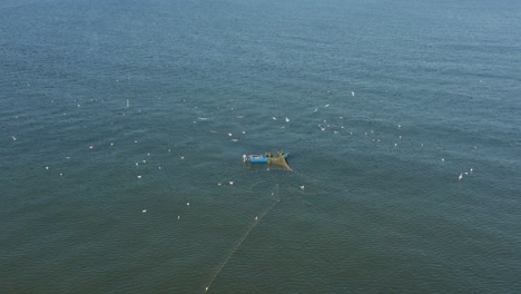 Antenne:-Fischer-Werfen-Netze-Im-Meer-Aus,-Während-Möwen-Herumfliegen-Und-Nach-Einem-Fisch-Suchen