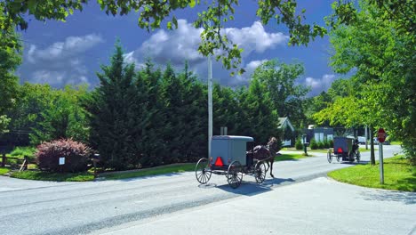 Dos-Caballos-Amish-Y-Buggies-Trotando-A-Lo-Largo-De-Una-Carretera-Rural-En-Un-Soleado-Día-De-Primavera