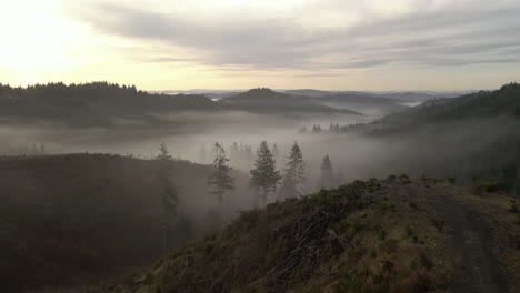 Brumoso-Paisaje-Montañoso-Con-Bosque-De-Abetos-En-El-Sur-De-Oregon,-Drone-Hacia-Adelante