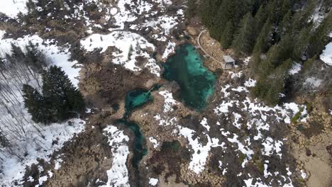 Turquoise-lake-Zelenci-Nature-Reserve,-Slovenia