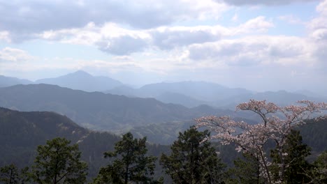 Beautiful-ridge-line-mountain-scenery-on-partially-cloudy-day-with-Sakura-tree