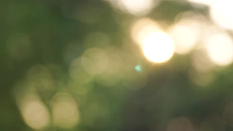 Blur-background-for-video-background,-bokeh