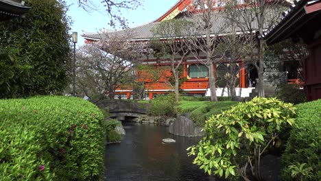 Slow-sideways-dolly-across-beautiful-Japanese-landscape-garden-with-pond