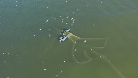 AERIAL:-Fishermans-Spread-Nets-in-Water-While-Seagulls-Trying-to-Catch-Fish