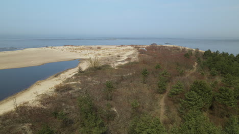 Dichter-Wald-Mit-Pfad-Im-Naturschutzgebiet-Mewia-Lacha-Auf-Der-Insel-Sobieszewo,-Danziger-Bucht,-Ostsee,-Polen