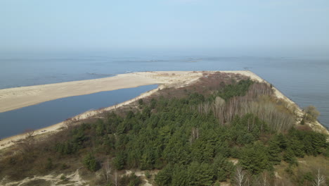 Aerial-side-shot-of-natural-reserve-area-with-forest-trees,nature-lake-and-sand-during-sunny-day