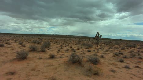 In-Einer-Schnellen-First-Person-Drohne-Zwischen-Joshua-Bäumen-In-Der-Mojave-Wüste-Fliegen