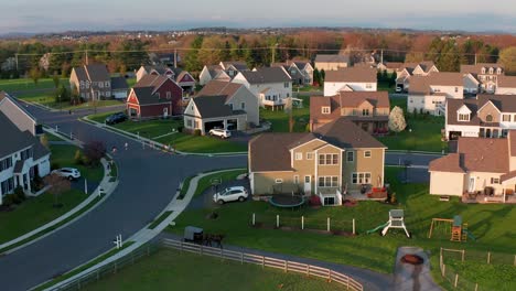 Amish-horse-and-buggy-enter-driveway-among-suburban-housing-development