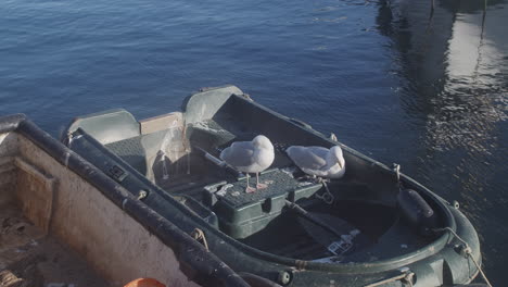 Pair-Of-Seagulls-Resting-On-Small-Boat-With-Paddle-Floating-In-Blue-Sea