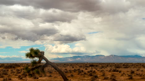 Majestätische-Wolken-Werden-Vom-Wind-über-Die-Zerklüftete-Landschaft-Der-Mojave-Wüste-Geschoben---Zeitraffer-Mit-Joshua-Tree-Im-Vordergrund