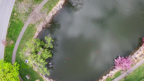 Top-down-aerial-during-spring