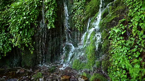 Spring-Waterfall-Entlang-Des-Elk-River-Valley-Im-Südlichen-Oregon---Nahaufnahme,-Statische-Aufnahme
