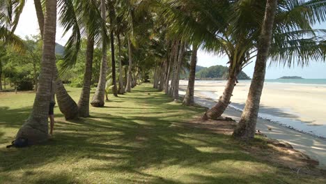 Dolly-Aufnahmen-Von-Palmen-Auf-Einem-Grasbewachsenen-Ufer-Mit-Tropischem-Strand-Und-Insel