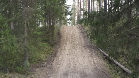 Forest-dirt-road-with-slight-slope-in-tilting-up-shot