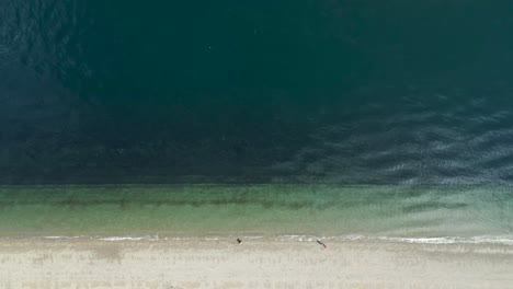 Wunderschöner-Weißer-Sandstrand-Und-Türkisfarbenes-Wasser-Von-Owen-Beach-In-Tacoma,-Washington---Antenne-Von-Oben-Nach-Unten