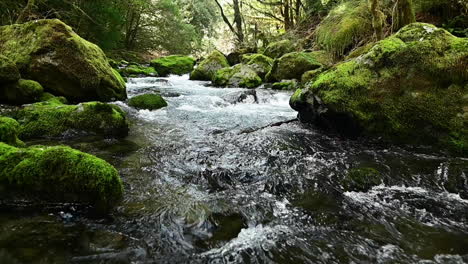 Elk-River-Rapids-Geradeaus,-Oregon
