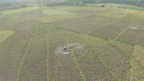 Aerial-View-Of-Farmers-Harvesting-Ripe-Rice-Crops-On-Fields-With-Threshing-Machine