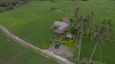 Restaurant-Cottage,-Umgeben-Von-Reisfeldern-Mit-Palmen-Auf-Den-Philippinen