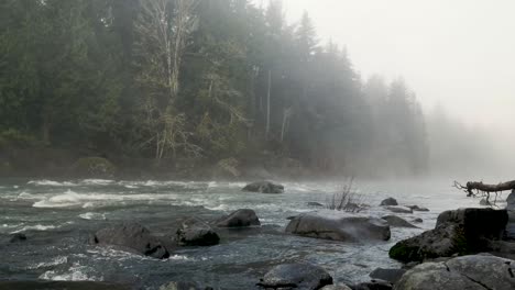 Flowing-Water-On-The-Snoqualmie-River-With-Evergreen-Forest-On-A-Foggy-Day-In-Washington,-USA