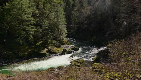Elk-River-flowing-through-woods-near-Port-Orford,-Oregon