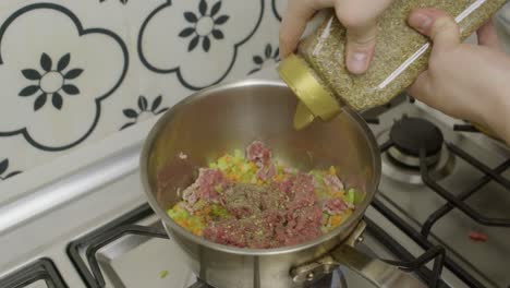 Adding-Oregano-spice-into-cooking-pot-with-mixed-meat-and-vegetables