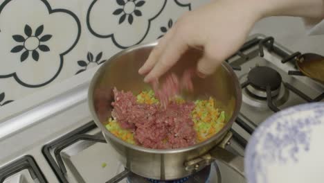 Adding-minced-meat-into-cooking-pot-with-mixed-vegetables