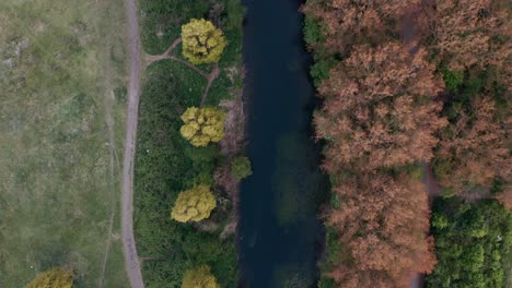 Top-down-drone-shot-of-calm-river-surrounded-by-autumnal-trees