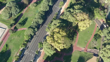 Aerial---Recoleta-Libertador-Avenue,-Buenos-Aires,-Argentina,-Wide-Top-Down-Shot