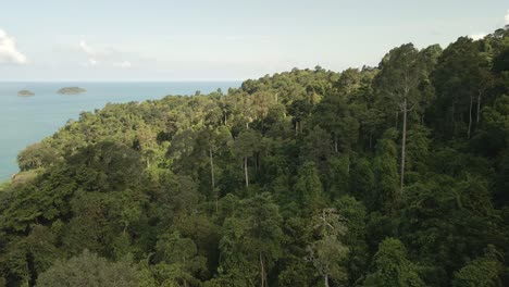 Aerial-flyover-shot,-green-dense-lush-tropical-forest-with-ocean-and-tropical-island