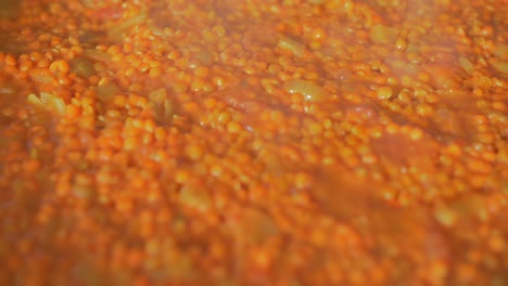 Indian-cooking-:-Red-Lentil-Dhal