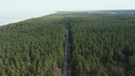 AERIAL:-Dense-Green-Pine-Forest-with-Bicycle-Path-in-Palanga-on-a-Sunny-Bright-Day