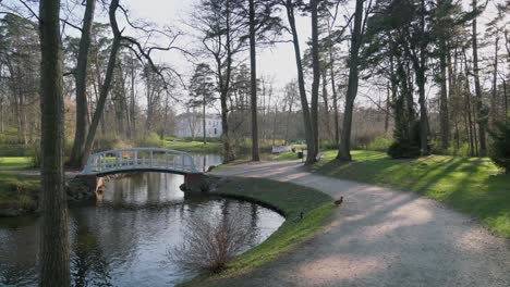 Schöner-Park-In-Palanga-Mit-Teichpfaden-Und-Wald-Mit-Enten,-Die-Die-Straße-überqueren,-Und-Bernsteinmuseum-Im-Hintergrund