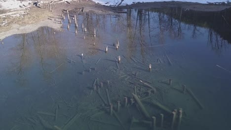 Rotting-remnant-pilings-of-old-pier-in-cold-clear-trout-lake-in-spring