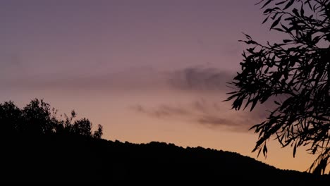 Weicher-Violetter-Himmel-Nach-Sonnenuntergang-Mit-Hügeln-Und-Baum-In-Dunkler-Silhouette-Am-Abend-In-Chia,-Südsardinien,-Italien