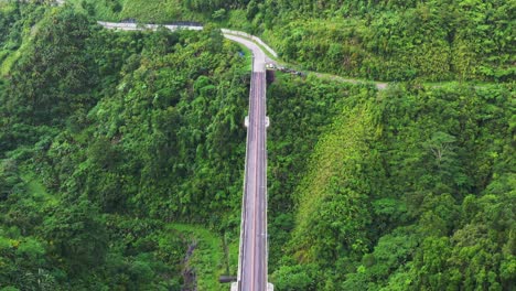 Vista-Panorámica-Del-Puente-Agas-agas-Construido-En-Montañas-Con-Plantas-Y-árboles-Densos-En-Crecimiento-En-Sogod,-Leyte-Del-Sur,-Filipinas---Tiro-Vertical-De-Drones-Aéreos