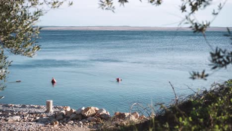 Bojen,-Die-Im-Seichten-Küstenwasser-Schwimmen,-Schöne-Abgelegene-Kroatische-Bucht
