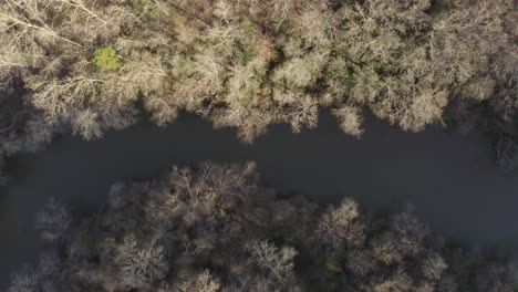 Dead-Grove-of-Trees-and-River-Way-Shot-From-Above-in-the-Winter--Concept---End-or-Beginning,-Life-and-Death,-Extinction,-Industry-Spill,-Climate-Change