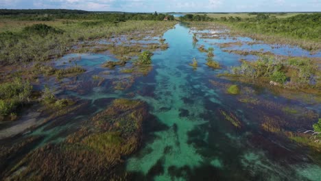 Aerial-View-of-a-Tropical-Wetlands,-Clear-Waters-of-Bacalar-Lake,-Mexico