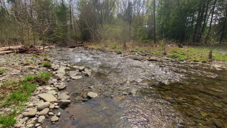 A-beautiful-stream-in-the-catskill-mountains-during-spring-in-new-york-state's-hudson-valley