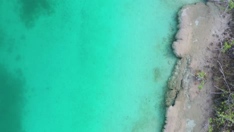 Top-Down-Aerial-View,-Turquoise-Water-and-Scenic-Coast-of-Cenote-in-Bacalar-Lake-Region,-Quintana-Roo,-Mexico,-High-Angle-Drone-Shot
