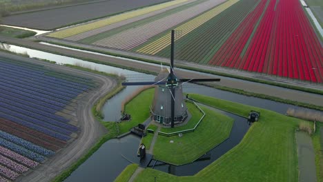 Typical-Dutch-windmill-surrounded-by-colorful-tulips-and-canals,-aerial