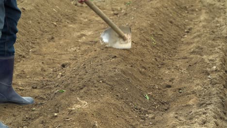 Cultivating-Soil-And-Preparing-Plant-Bed-For-Planting-Vegetables-In-The-Backyard
