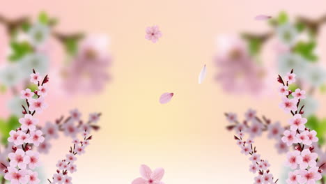 Schöne-Sakura-Blumen-Abstrakter-Kirschblütenhintergrund-Mit-Schleife-In-4k