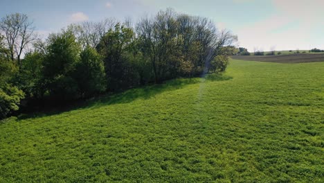 Aerial-shot-with-the-drone-flying-forward-towards-trees-above-two-deers-running-in-a-field